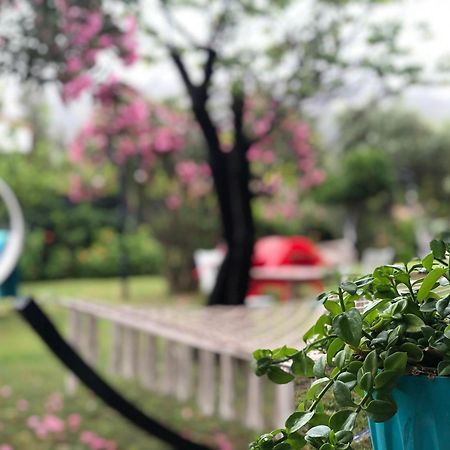 Cirali Marina Loft Διαμέρισμα Εξωτερικό φωτογραφία