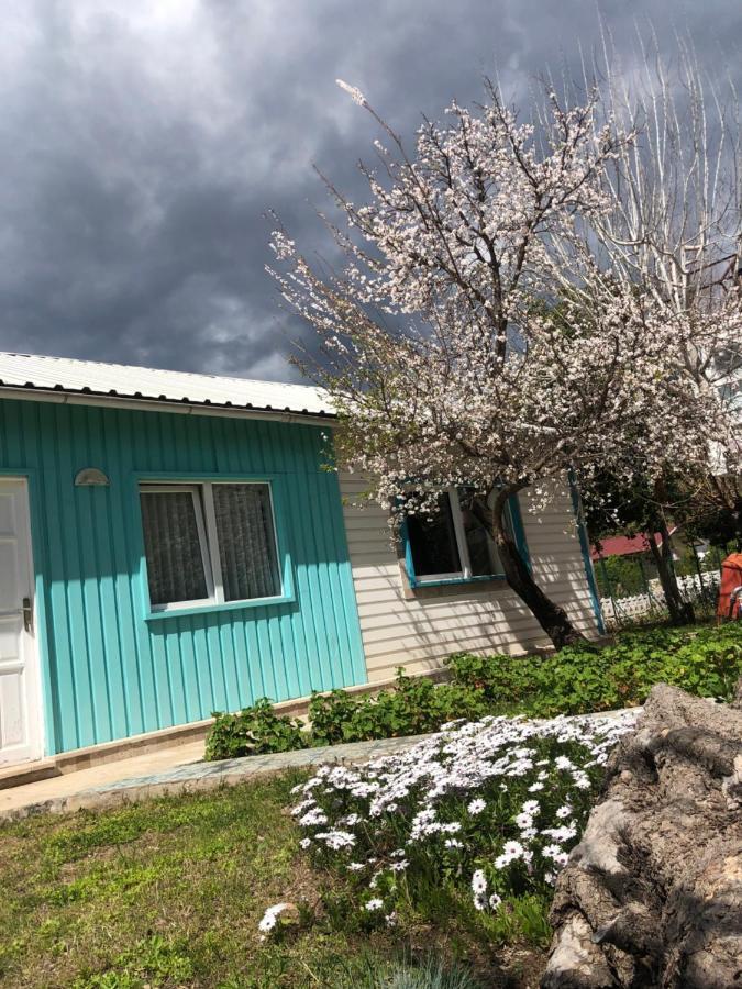 Cirali Marina Loft Διαμέρισμα Εξωτερικό φωτογραφία