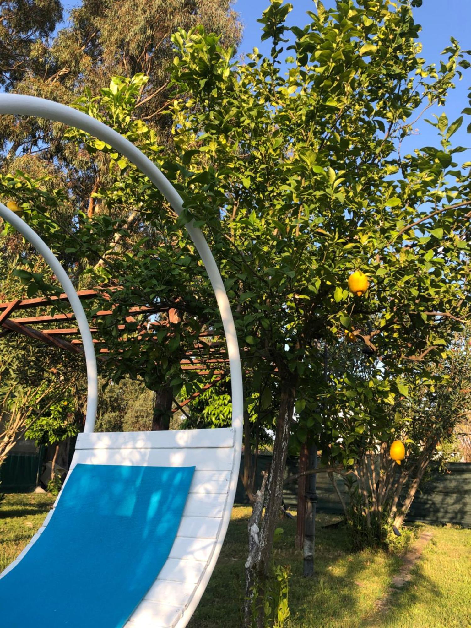 Cirali Marina Loft Διαμέρισμα Εξωτερικό φωτογραφία