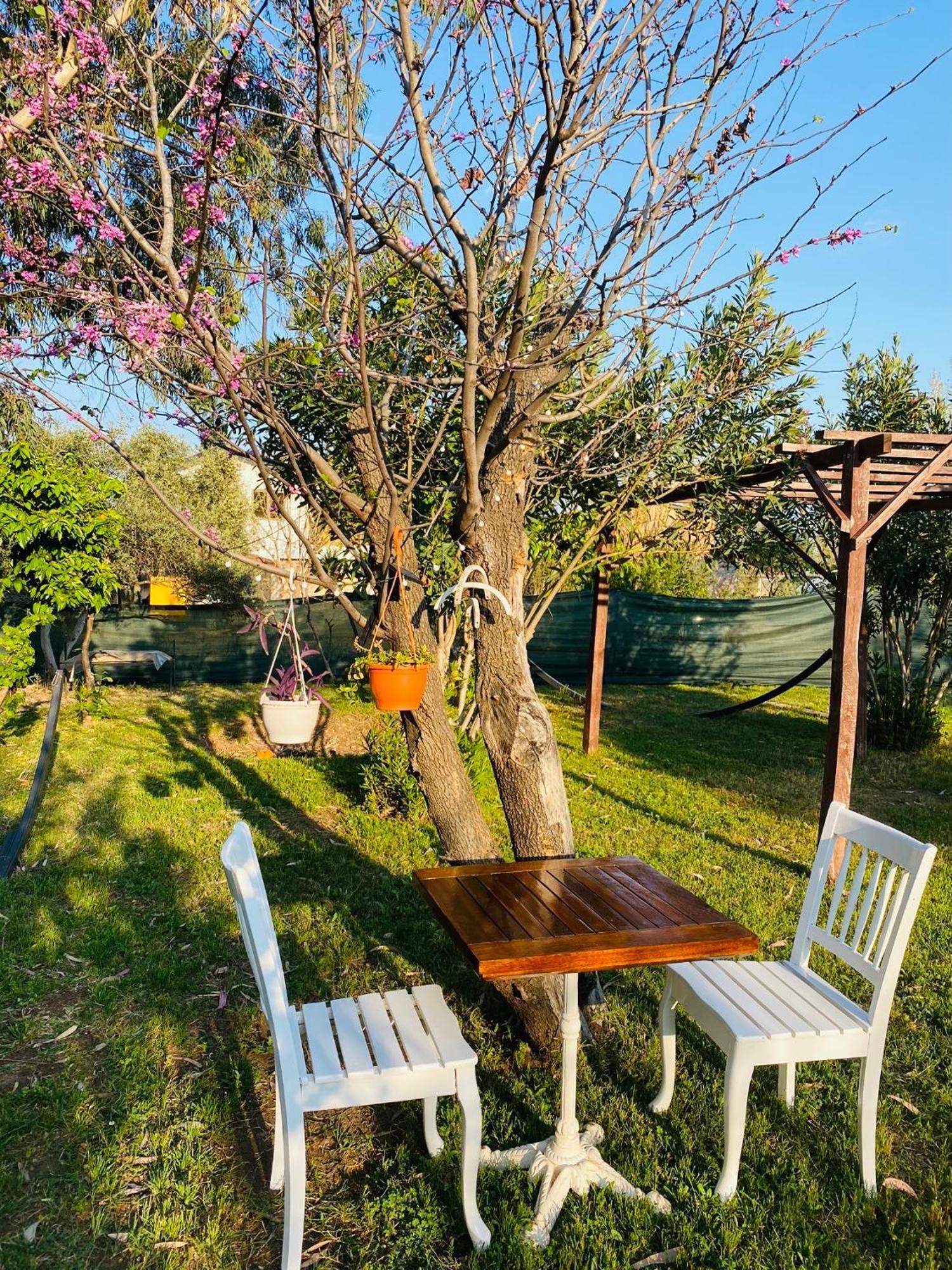 Cirali Marina Loft Διαμέρισμα Εξωτερικό φωτογραφία