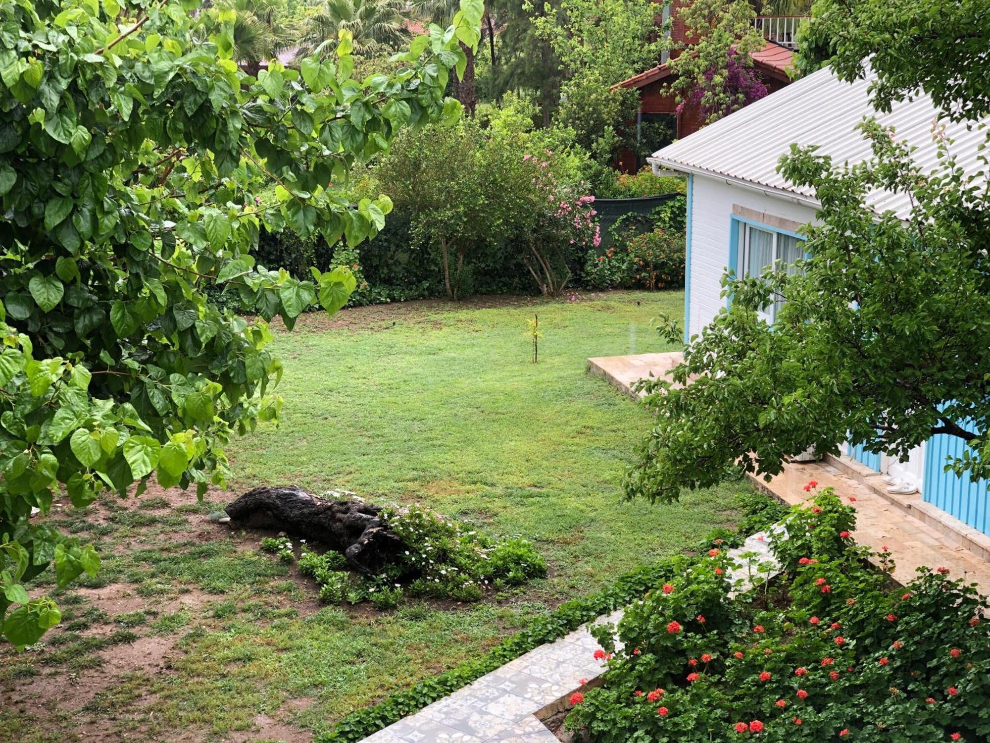 Cirali Marina Loft Διαμέρισμα Εξωτερικό φωτογραφία